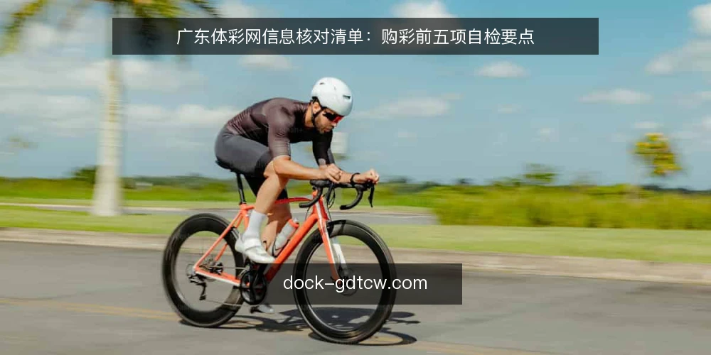 广东体彩网信息核对清单:购彩前五项自检要点 — 明确使用需求:你究竟要查什么 配图