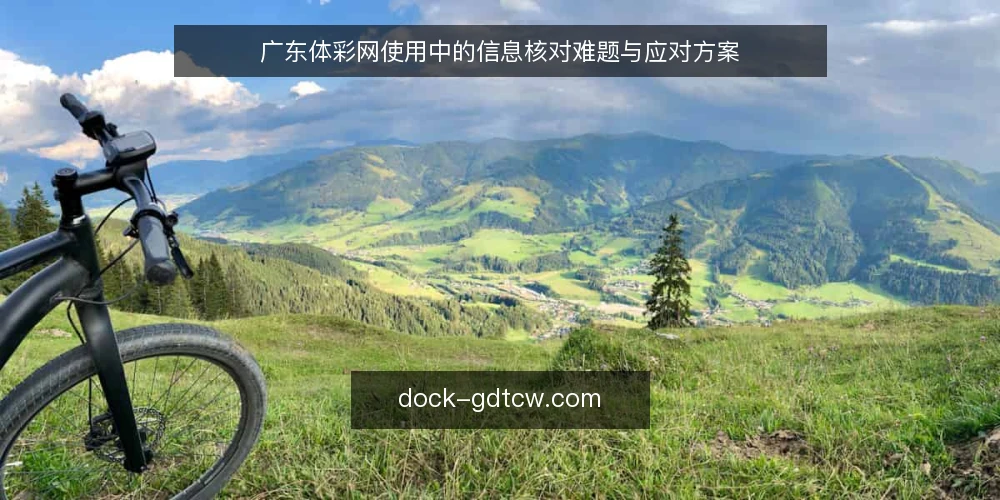 广东体彩网使用中的信息核对难题与应对方案 — 场景:购彩信息分散带来的核对压力 配图