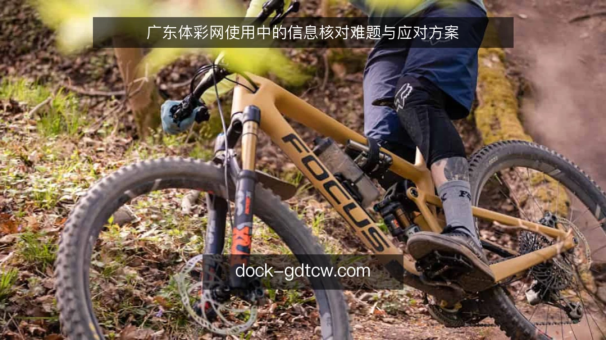 广东体彩网使用中的信息核对难题与应对方案