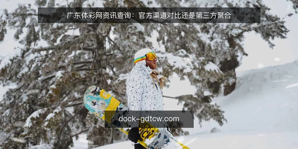 广东体彩网资讯查询：官方渠道对比还是第三方聚合 — 明确信息查询的核心决策标准 配图