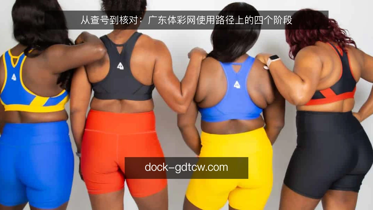 从查号到核对：广东体彩网使用路径上的四个阶段