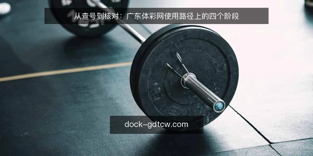 从查号到核对：广东体彩网使用路径上的四个阶段 — 场景设定：购彩者的一天 配图