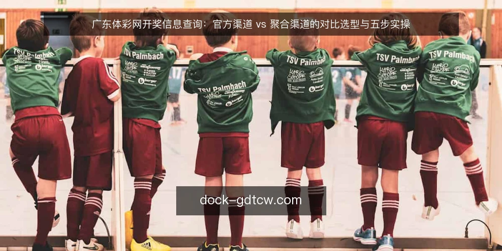 广东体彩网开奖信息查询：官方渠道 vs 聚合渠道的对比选型与五步实操 — 先定对比标准：列出四项共用判据 配图